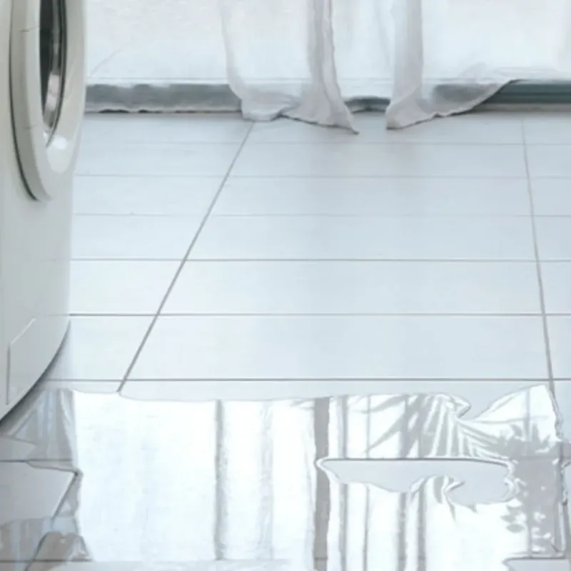 Appliance Leak Cleanup in Rusk County, TX