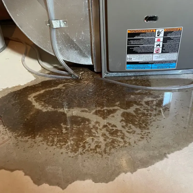 Pipe Burst and Leak Restoration in Rusk County, TX