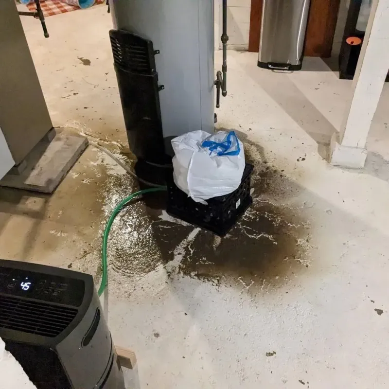 Sewage Backup Cleanup Service in Rusk County, TX